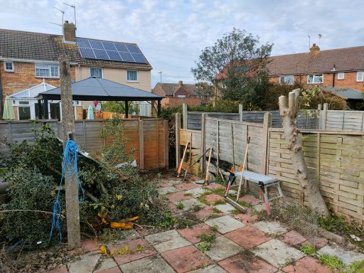 Overgrown garden with scattered debris.